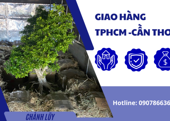 Chuyên Giao Hàng Tuyến TPHCM - Cần Thơ (An Toàn, Tận Nơi, Cước Phí Rẻ)- Chành Lũy